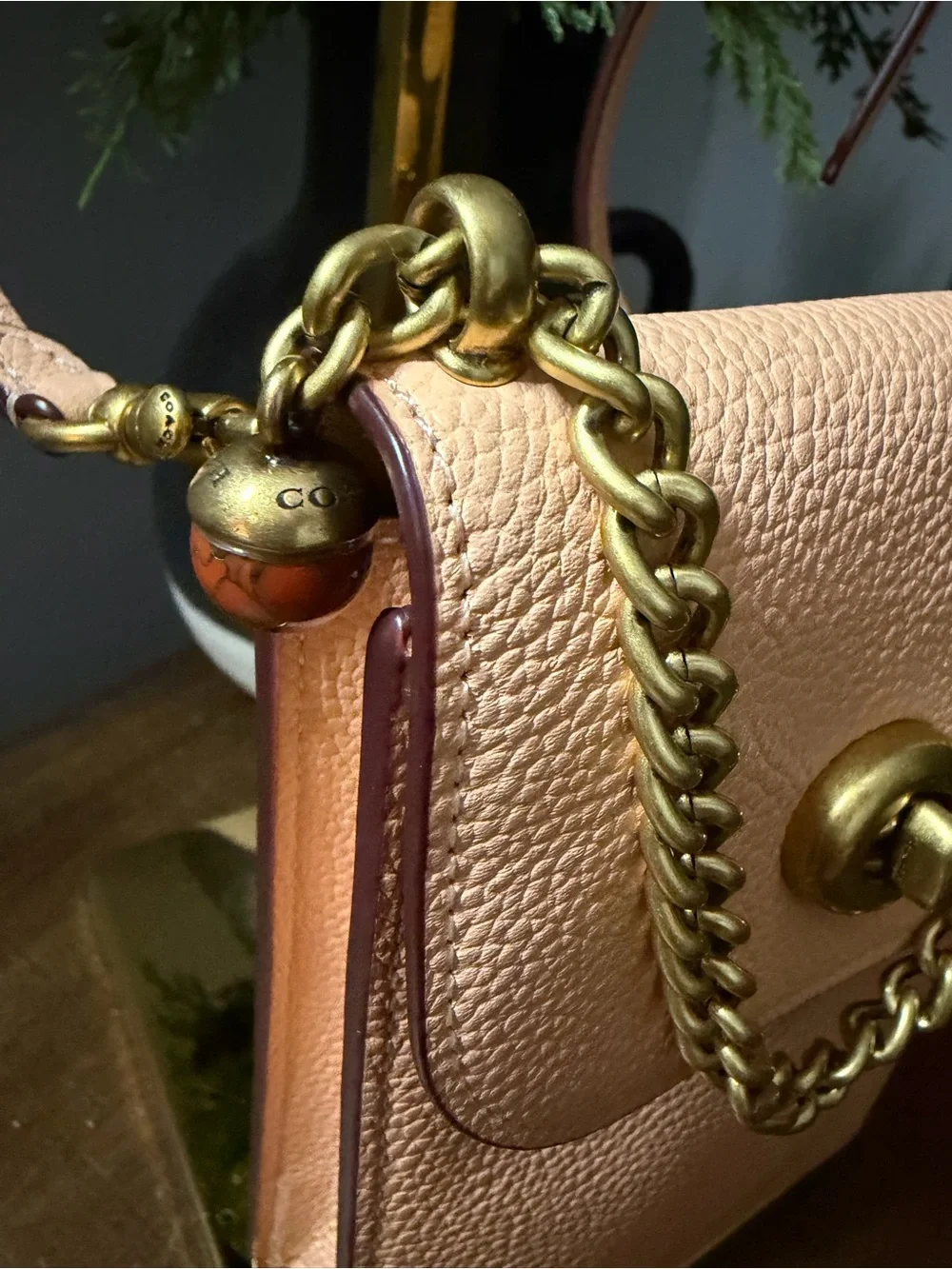 Coach Liv Crossbody Bag - Picture 7 of 14